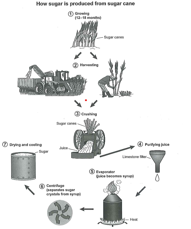 Cambridge IELTS 16 Academic Writing Test 2 Task 1 Band 7.5 Model Answer prompt illustration